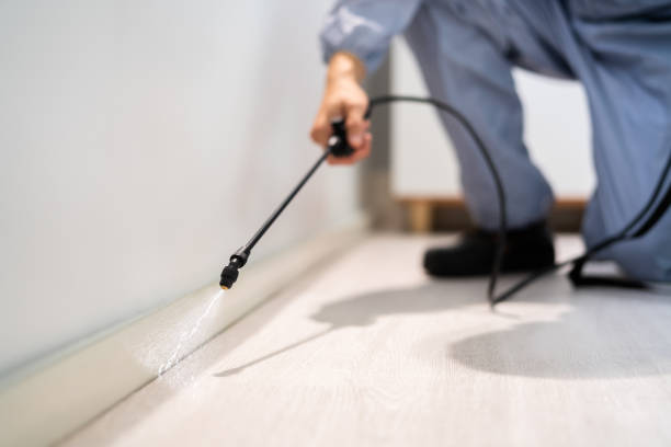 Licensed Exterminator service in Towson, MD - Show Me Pest Control