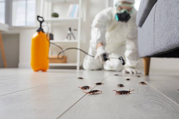 Commercial Rodent Management in Towson